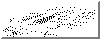 wpeB.gif (28566 bytes)